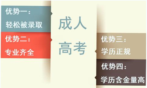 成人(rén)高(gāo)考.jpg